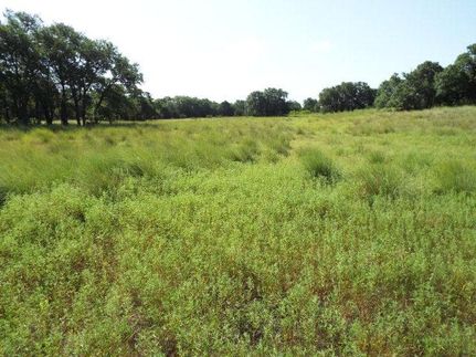 Farm and Ranch in Gillespie County, Texas
