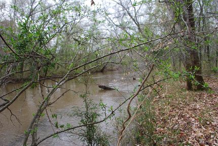 Oceanfront Property in Union County, South Carolina