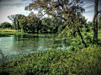 Land in Milam County, Texas