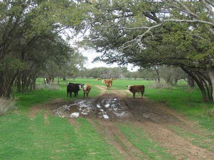 Farm and Ranch in San Saba County, Texas