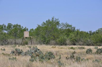 Land in McMullen County, Texas