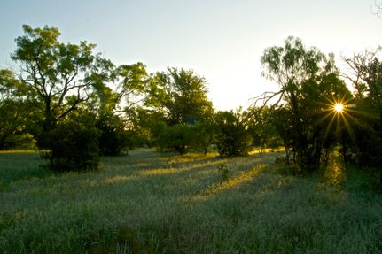 Land in Young County, Texas