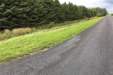Undeveloped Land in Mason County, Michigan