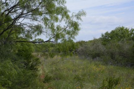 Land in Frio County, Texas