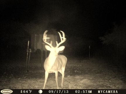 Timberland Property in Edwards County, Texas