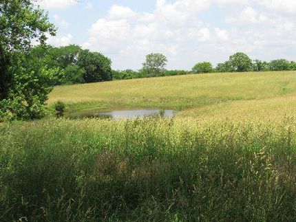 Farm and Ranch in Platte County, Missouri