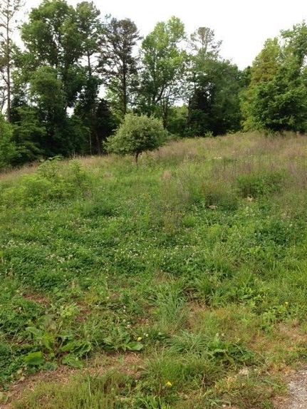 Timberland Property in Pulaski County, Kentucky