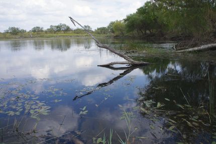 Farm and Ranch in Coleman County, Texas