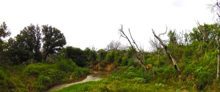 Farm and Ranch in Eastland County, Texas