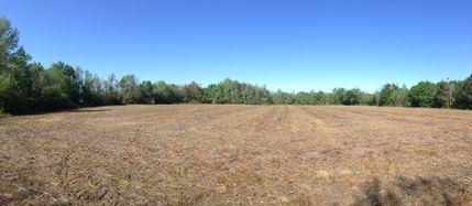 Farm and Ranch in Dorchester County, South Carolina
