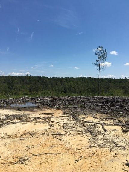 Recreational Property in Washington County, Alabama