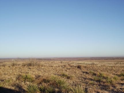 Farm and Ranch in Lynn County, Texas