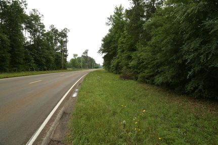 Farm and Ranch in San Jacinto County, Texas