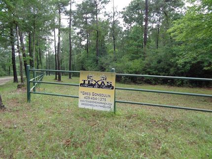 Timberland Property in Polk County, Texas