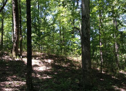 Farm and Ranch in Bibb County, Alabama