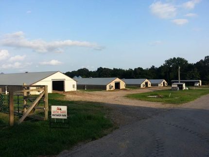 Recreational Property in Morgan County, Alabama