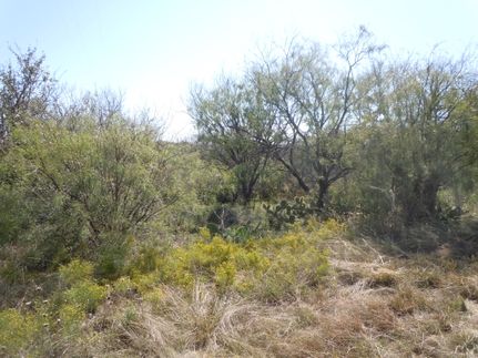 Homesite in Callahan County, Texas