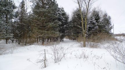 Land in Sanilac County, Michigan
