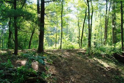 Homesite in Jackson County, Wisconsin