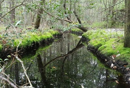 Land in Brunswick County, North Carolina