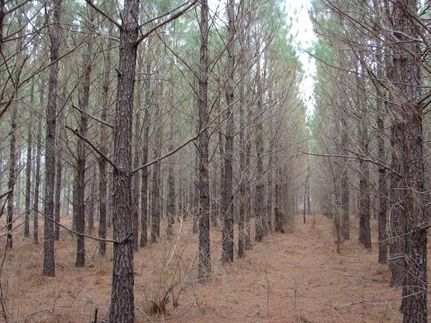 Farm and Ranch in Tallapoosa County, Alabama