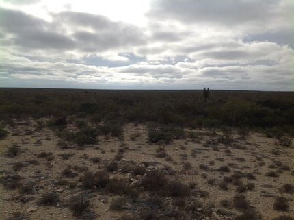 Farm and Ranch in Terrell County, Texas