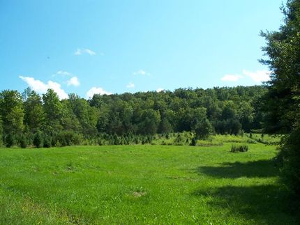 Recreational Property in Chenango County, New York