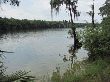 Farm and Ranch in Dixie County, Florida