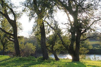 Recreational Property in Mills County, Texas