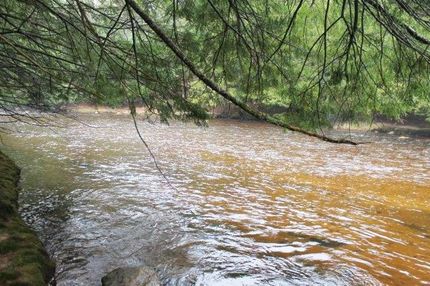 Hunting Property in Lewis County, New York