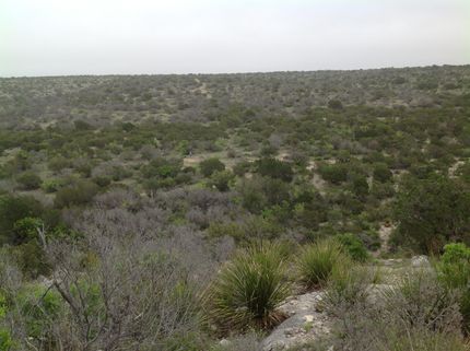 Farm and Ranch in Val Verde County, Texas