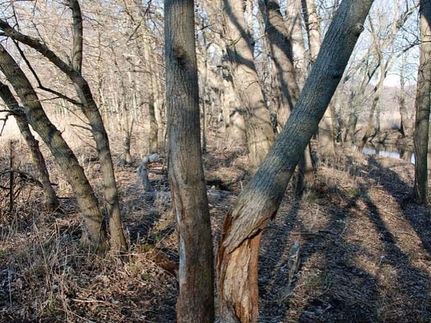 Farm and Ranch in Champaign County, Illinois