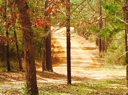 Farm and Ranch in Houston County, Texas