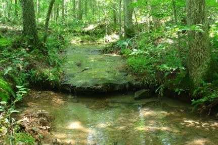 Land in Wayne County, Tennessee