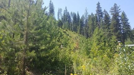Land in Mineral County, Montana