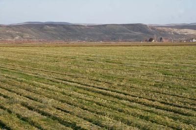 Homesite in Washington County, Idaho