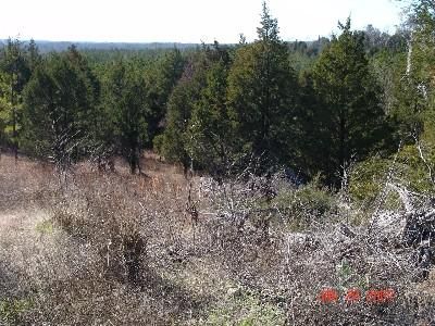 Farm and Ranch in Butler County, Alabama
