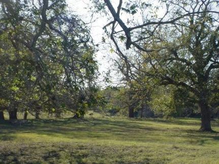 Land in Guadalupe County, Texas