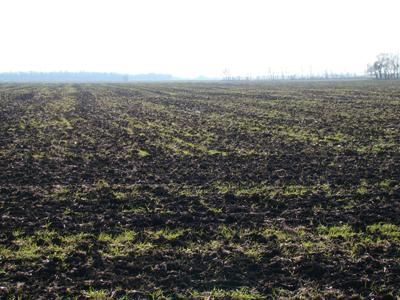 Land in Traill County, North Dakota