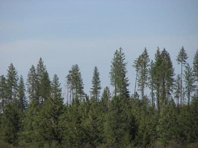 Farm and Ranch in Latah County, Idaho
