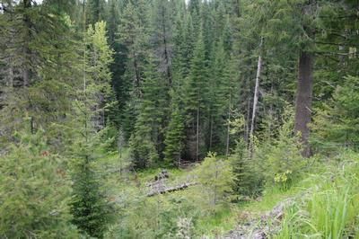 Land in Shoshone County, Idaho