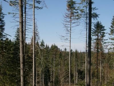 Farm and Ranch in Idaho County, Idaho
