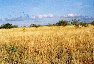 Farm and Ranch in Mitchell County, Texas