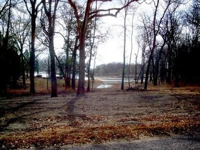 Undeveloped Land in Navarro County, Texas