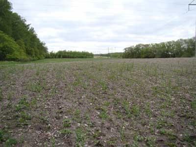 Land in Grand Forks County, North Dakota