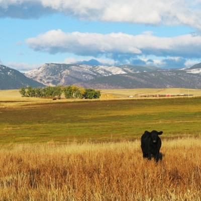 Lakefront Property in Johnson County, Wyoming