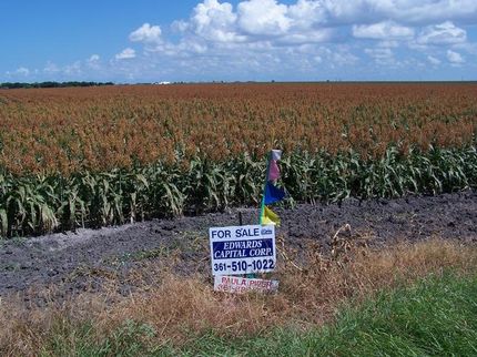 Farm and Ranch in San Patricio County, Texas