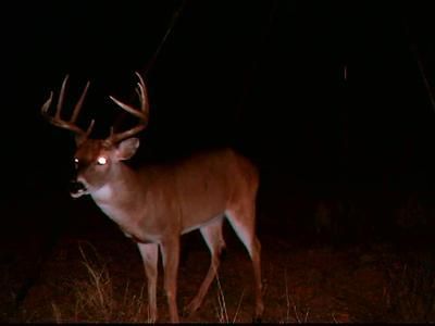 Land in Mitchell County, Texas