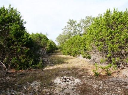 Farm and Ranch in Burnet County, Texas