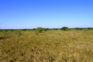 Land in Duval County, Texas